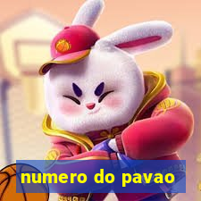 numero do pavao